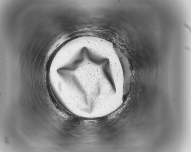 X0000094960150200712271727