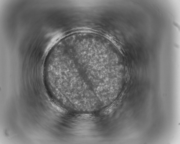 X0000094960151200712271727