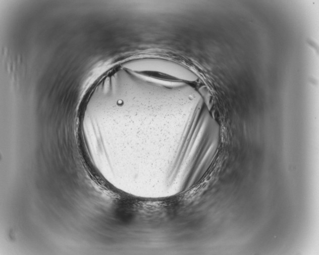 X0000094960152200712271727