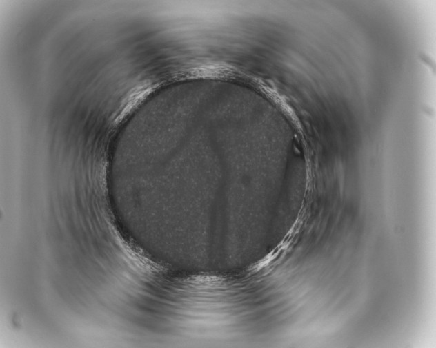 X0000094960154200712271727