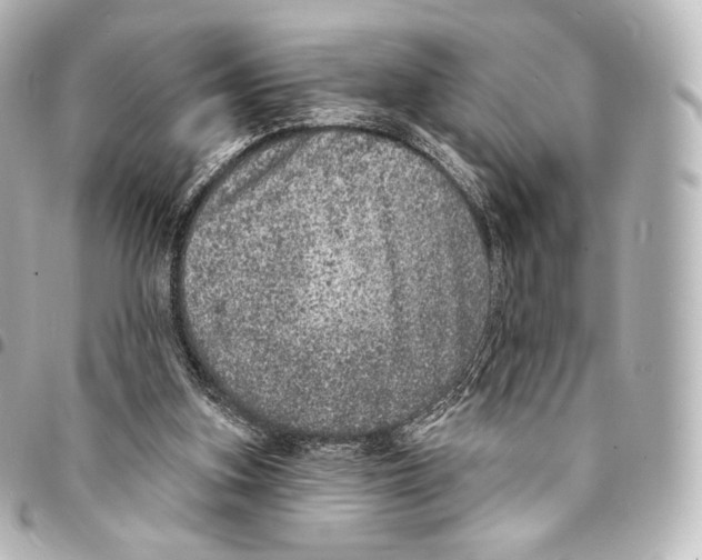 X0000094960155200712271727