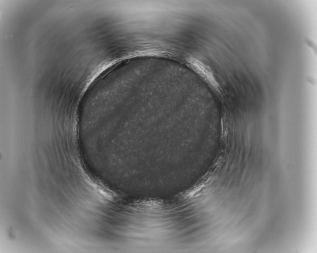 X0000094960156200712271727