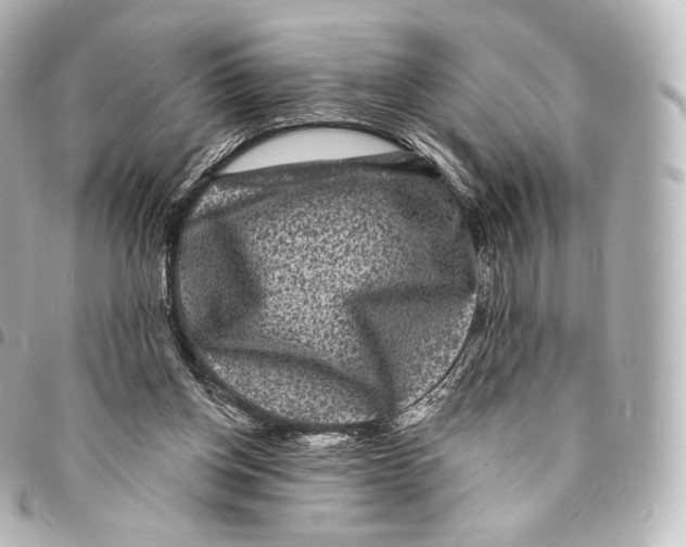 X0000094960158200712271727
