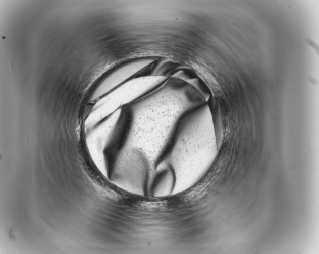 X0000094960160200712271727