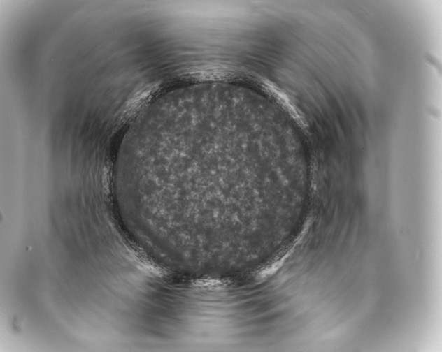X0000094960161200712271727
