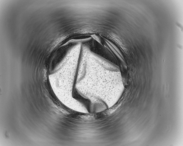 X0000094960164200712271727