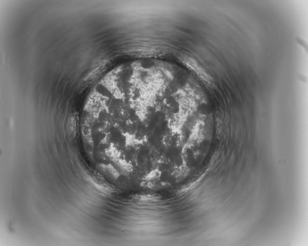 X0000094960165200712271727