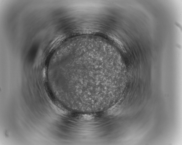 X0000094960166200712271727
