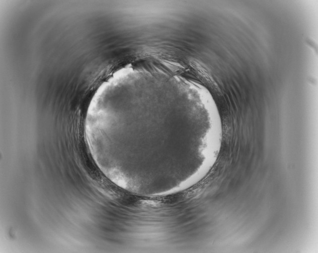 X0000094960167200712271727
