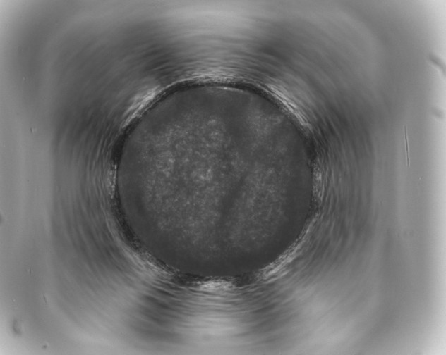 X0000094960168200712271727