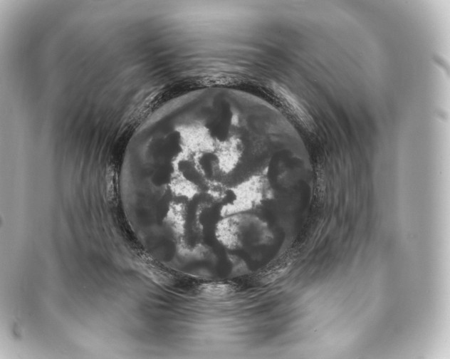 X0000094960169200712271727