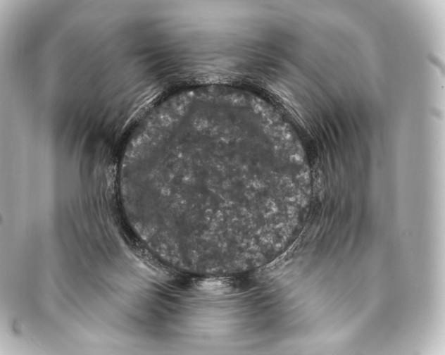 X0000094960171200712271727