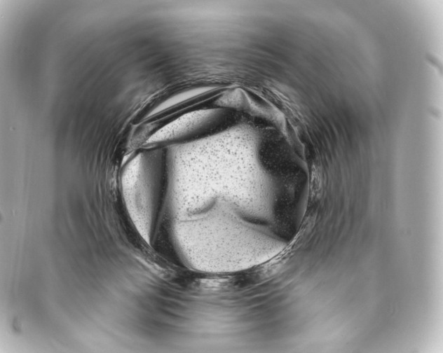 X0000094960172200712271727