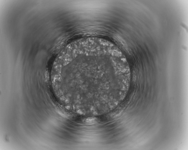 X0000094960173200712271727