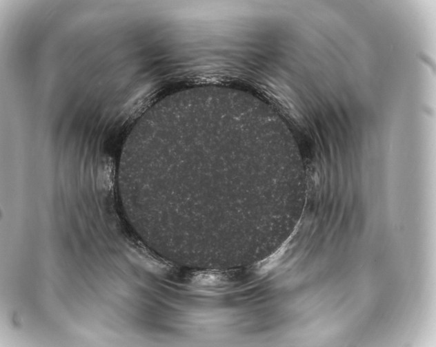 X0000094960174200712271727