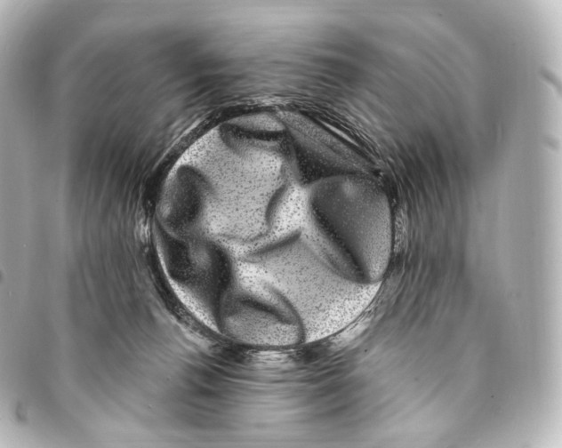 X0000094960176200712271727