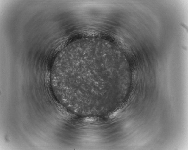 X0000094960177200712271727