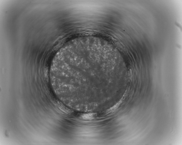 X0000094960178200712271727