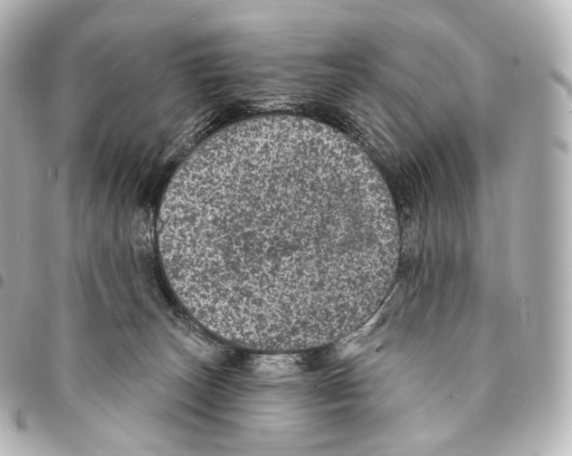 X0000094960179200712271727