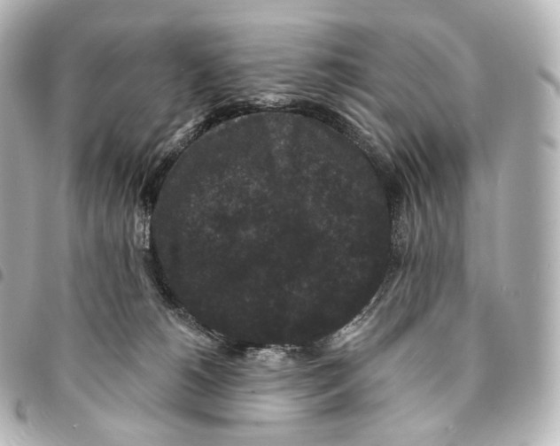 X0000094960180200712271727