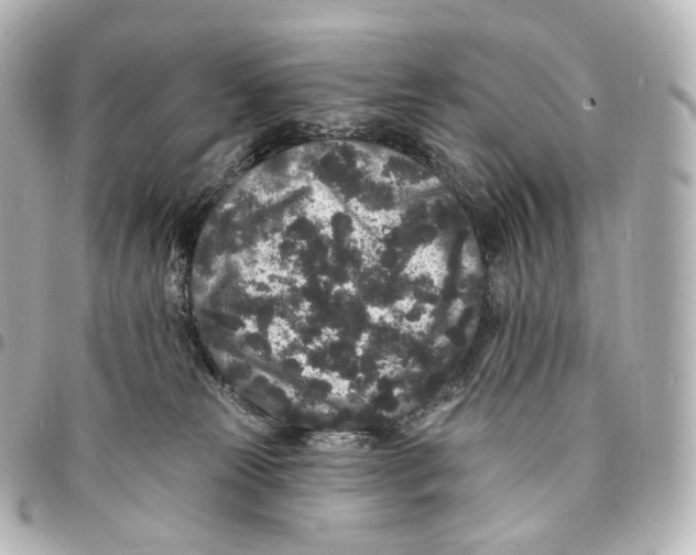 X0000094960181200712271727