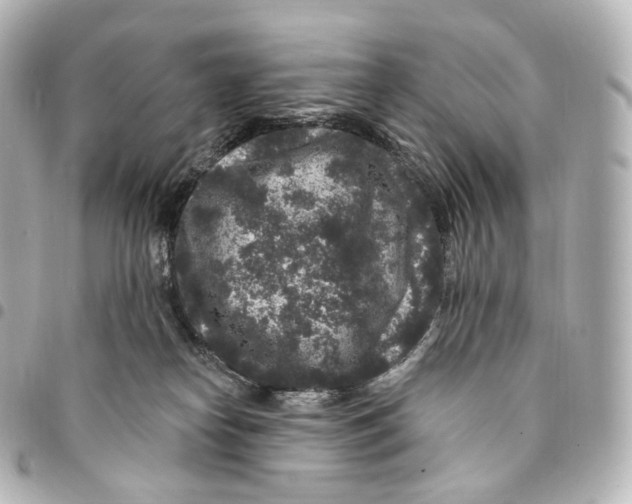 X0000094960182200712271727