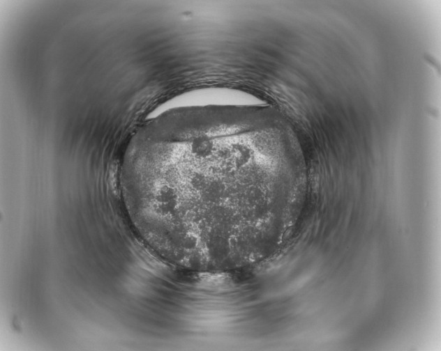 X0000094960185200712271728