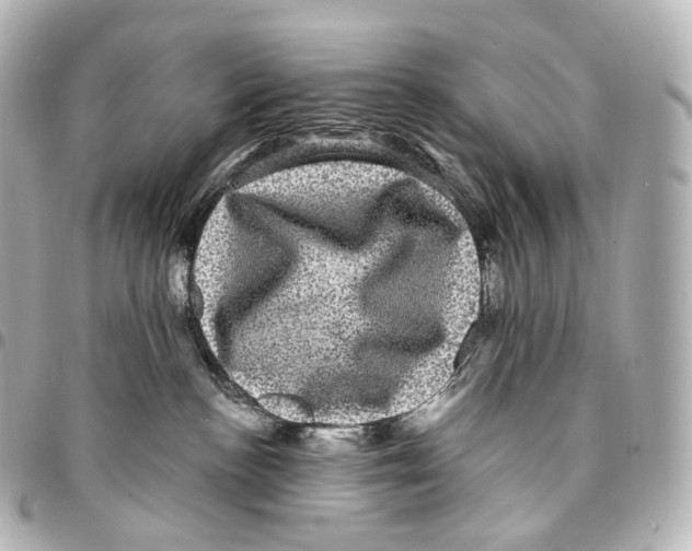 X0000094960188200712271728