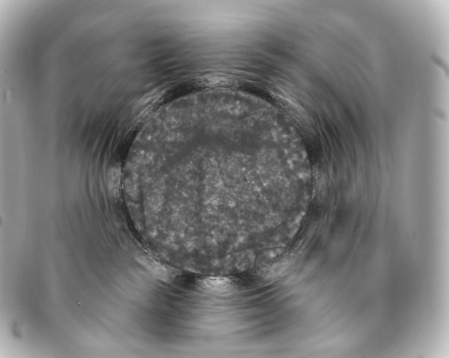 X0000094960189200712271728