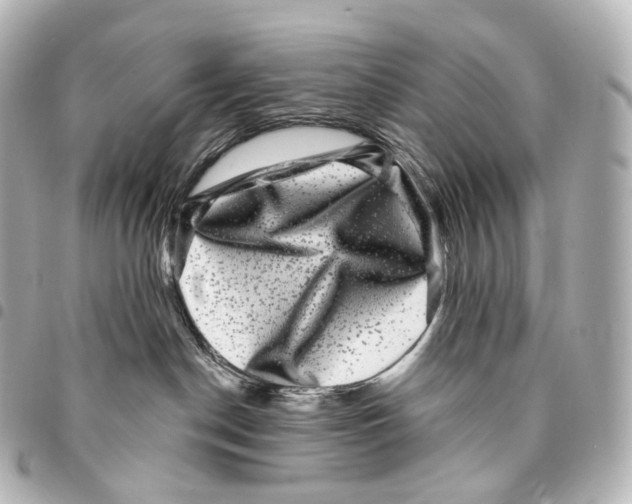 X0000094960190200712271728