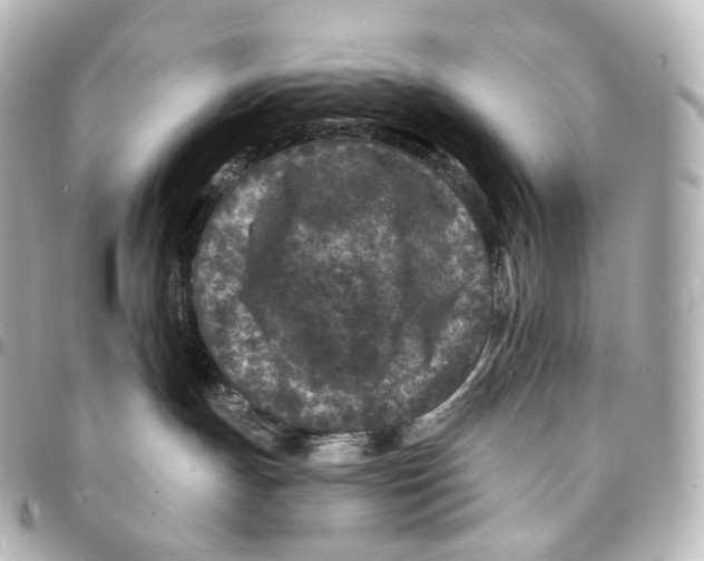 X0000094960191200712271728