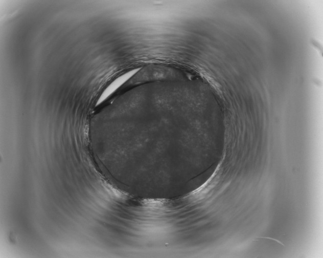 X0000094960192200712271728