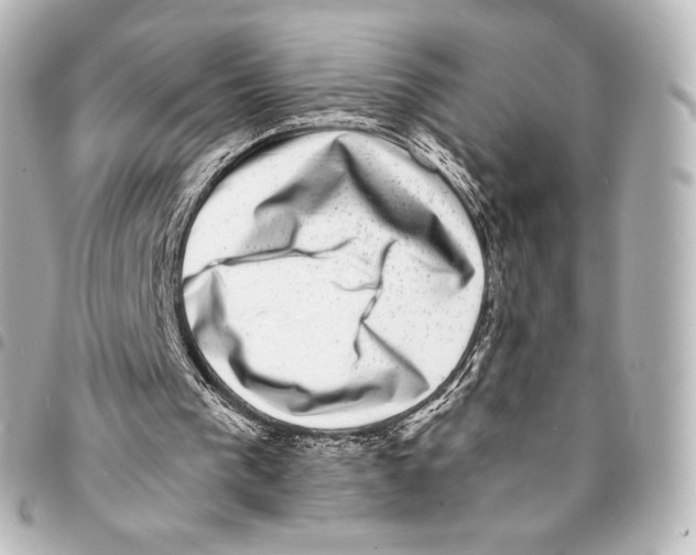 X0000094960193200712271727