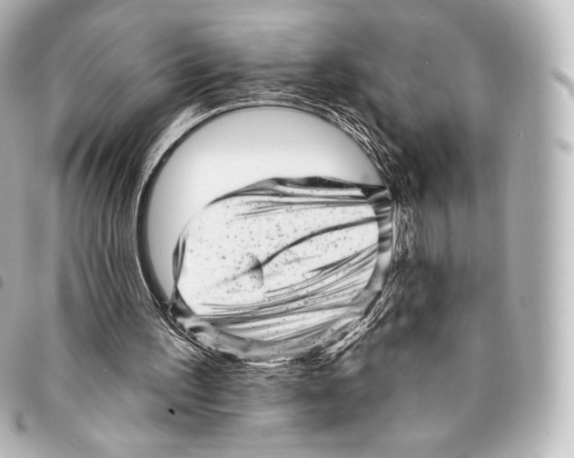 X0000094960195200712271727