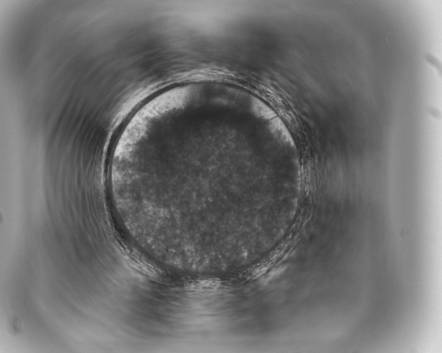 X0000094960196200712271727