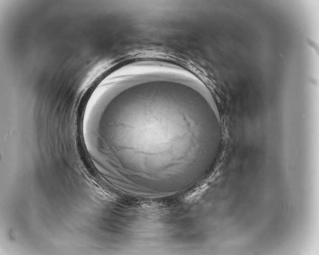 X0000094960199200712271727