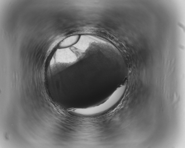 X0000094960200200712271727
