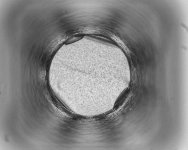 X0000094960201200712271727