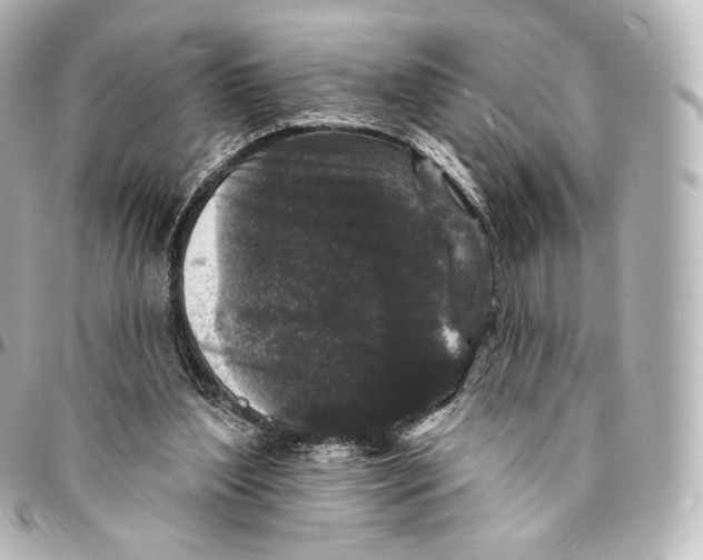 X0000094960204200712271727
