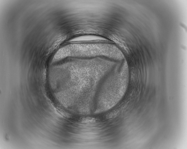 X0000094960206200712271727