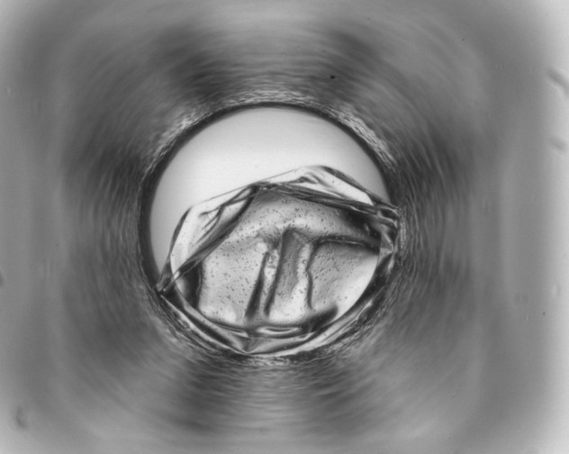 X0000094960207200712271727