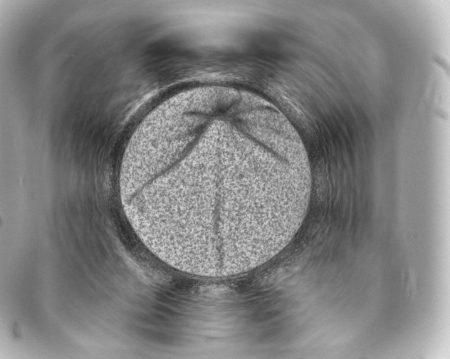 X0000094960208200712271727