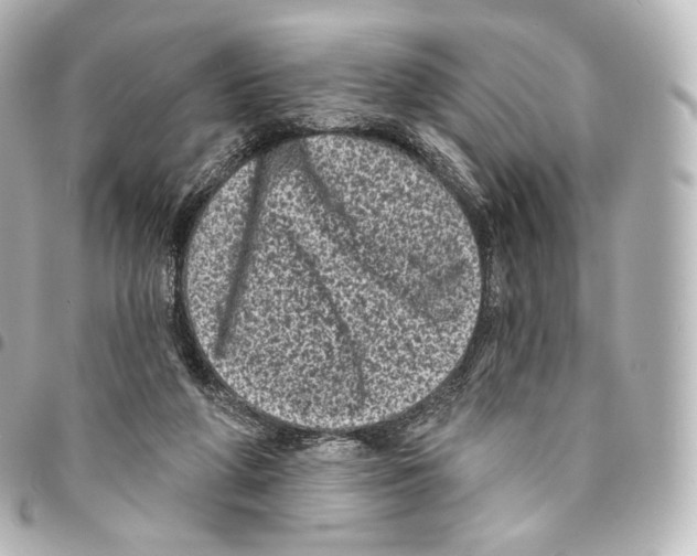 X0000094960210200712271727