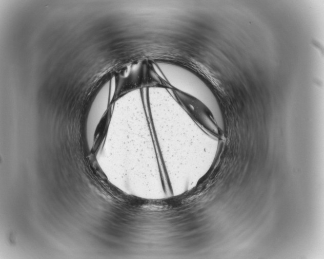 X0000094960211200712271727