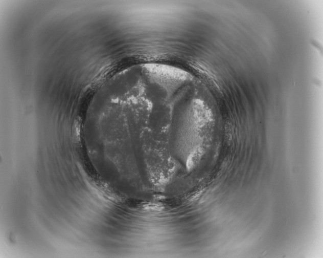 X0000094960214200712271727