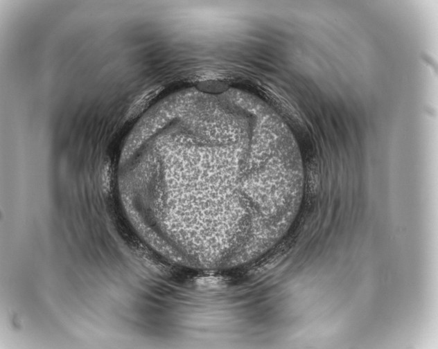 X0000094960216200712271727