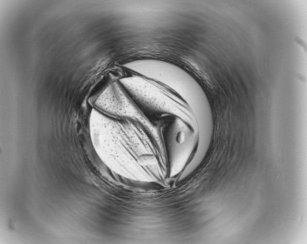 X0000094960217200712271727