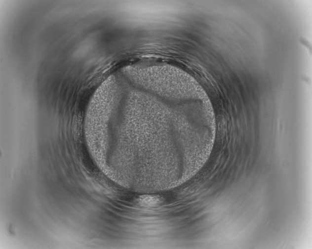 X0000094960218200712271727
