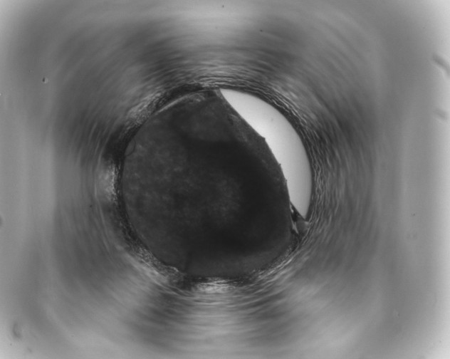 X0000094960219200712271727