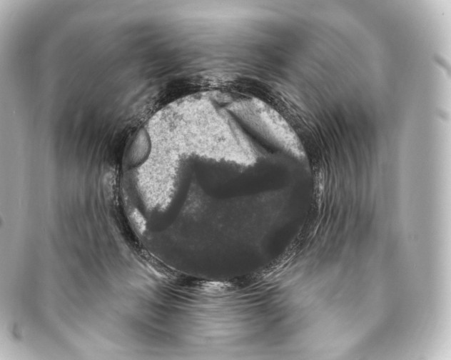 X0000094960222200712271727